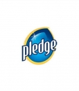 Pledge Multi Surface Polish 300ml